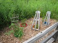 Matthaei Botanical Gardens 2010 0130